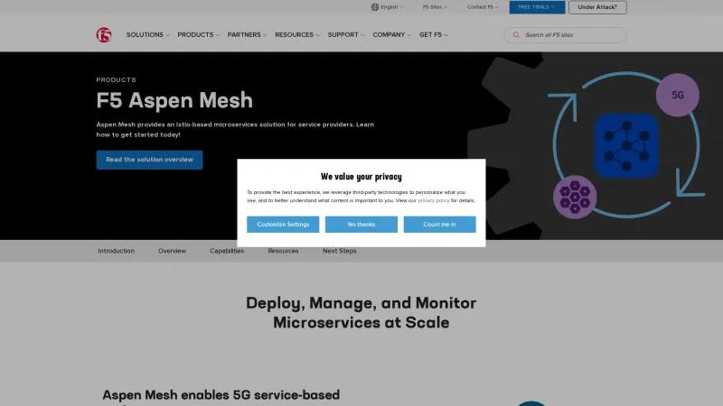 Homepage of Aspen Mesh