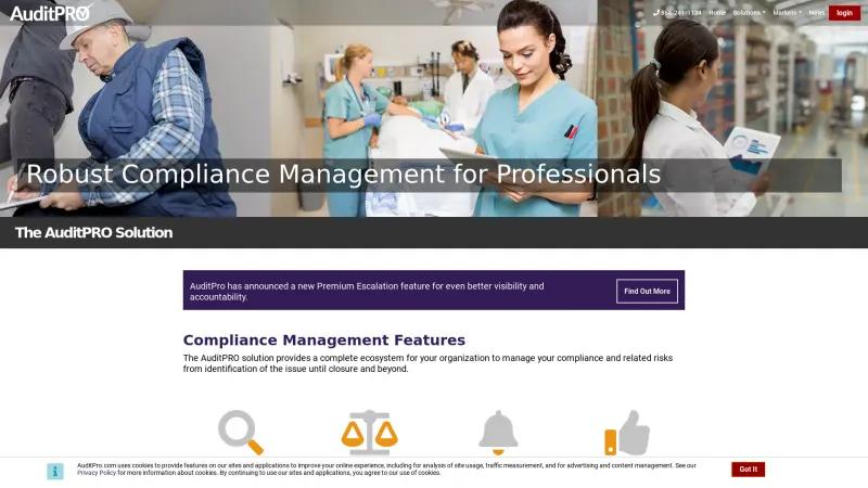 Homepage of AuditPRO