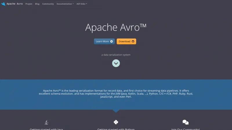 Homepage of Apache Avro