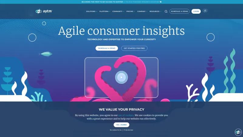 Homepage of AYTM