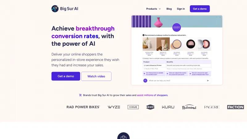 Homepage of Big Sur AI