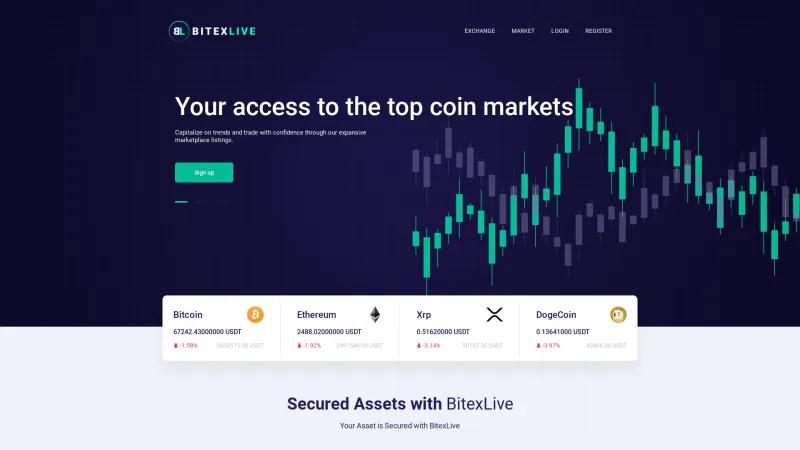 Homepage of BITEXLIVE