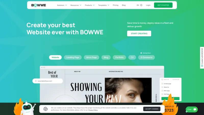 Homepage of BOWWE