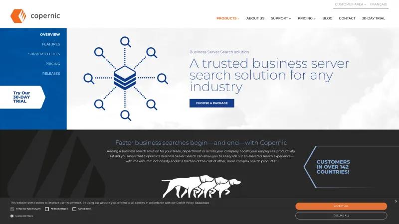 Homepage of Copernic Business Server Search