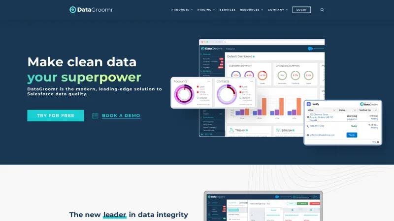 Homepage of DataGroomr