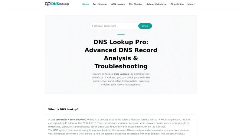 Homepage of DNS Lookup