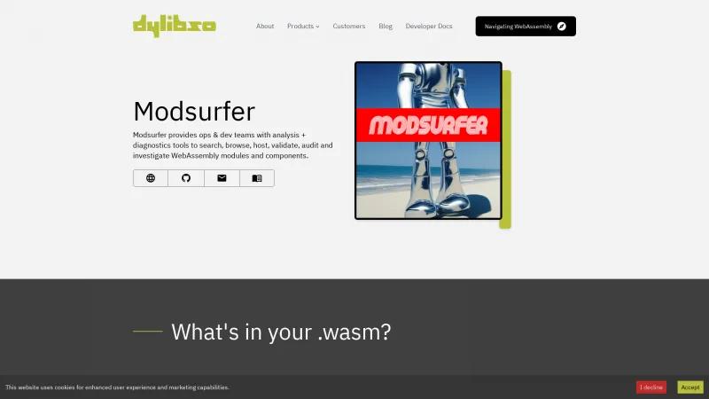 Homepage of Modsurfer