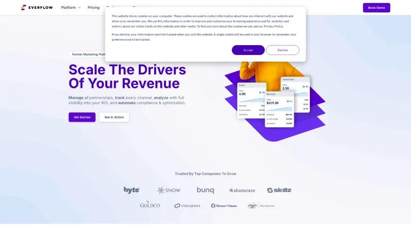 Homepage of Everflow