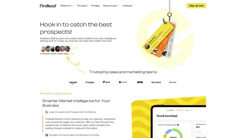 Homepage of Findlead