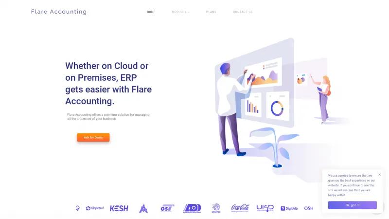 Homepage of Flare Accounting