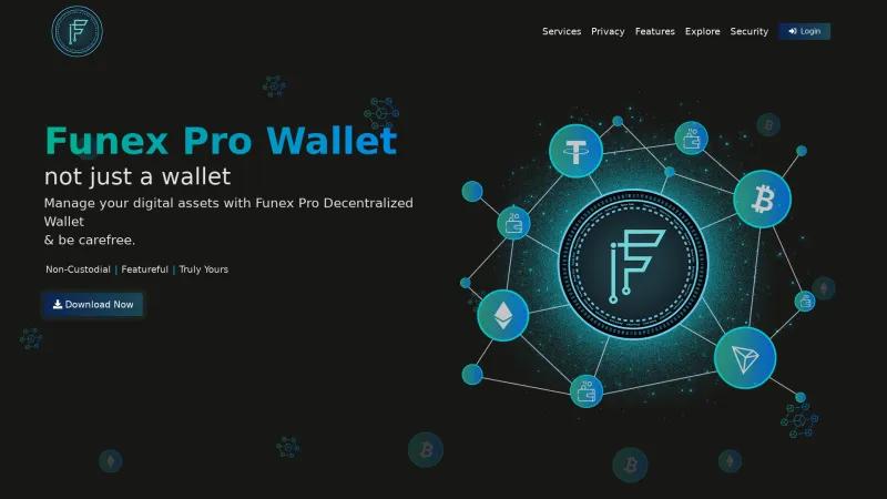 Homepage of Funex Pro