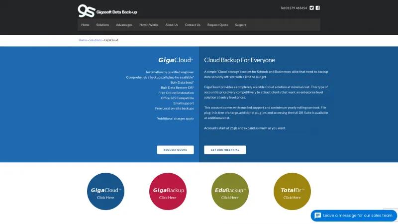 Homepage of GigaCloud