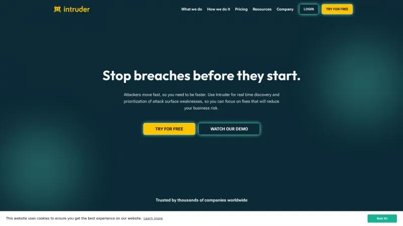 Homepage of Intruder