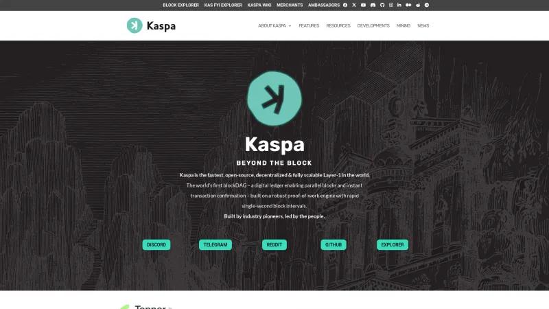 Homepage of Kaspa