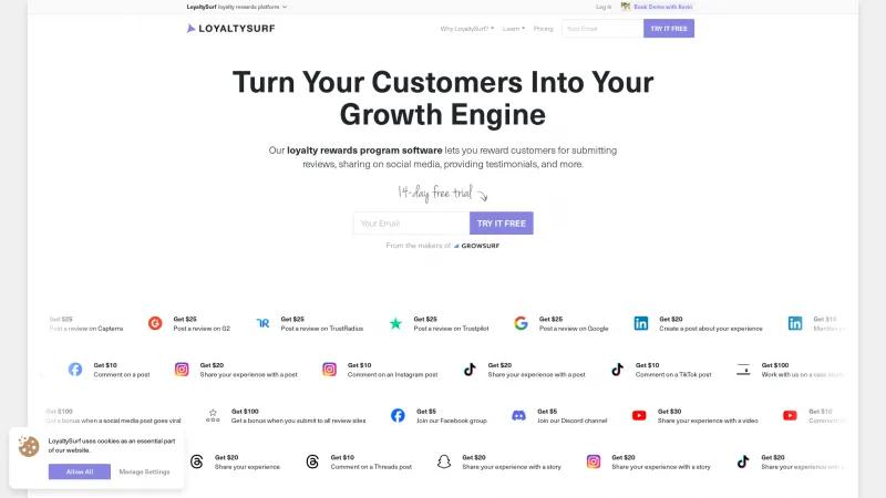 Homepage of LoyaltySurf