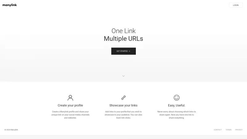 Homepage of Manylink