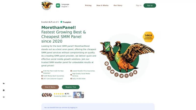 Homepage of MoreThanPanel