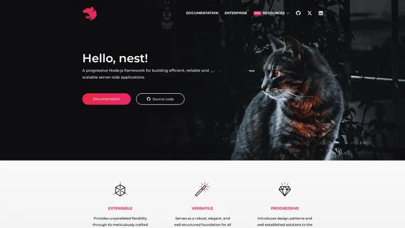 Homepage of NestJS