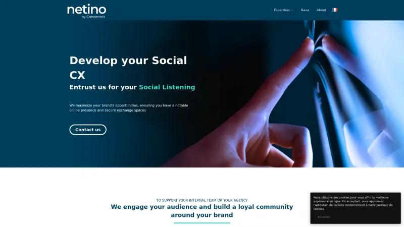 Homepage of Netino