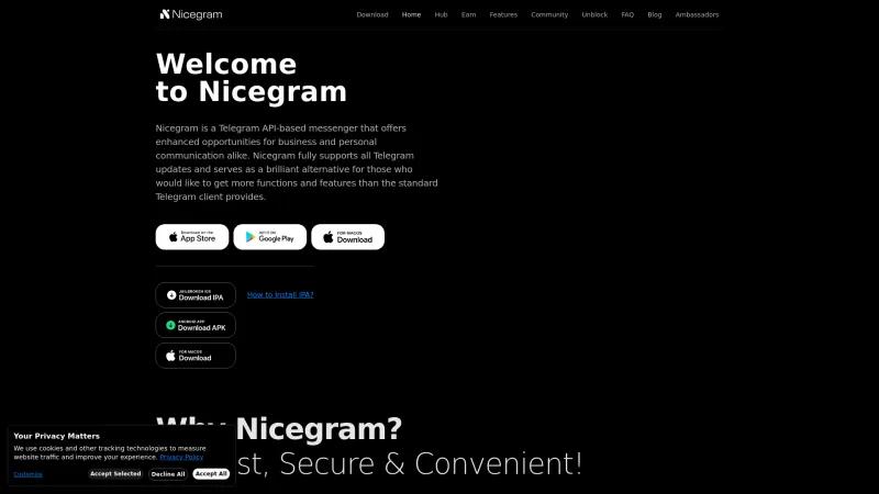 Homepage of Nicegram