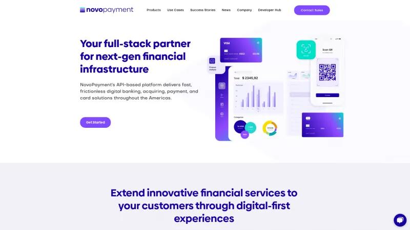 Homepage of NovoPayment