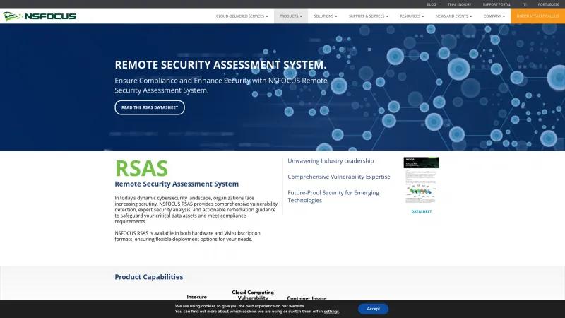 Homepage of NSFOCUS RSAS