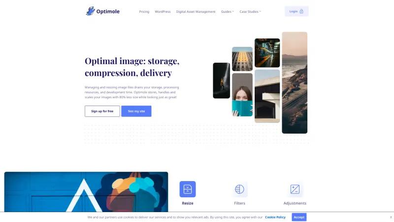 Homepage of Optimole