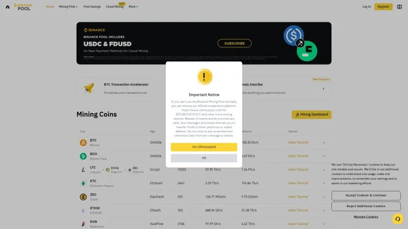 Homepage of Binance Pool