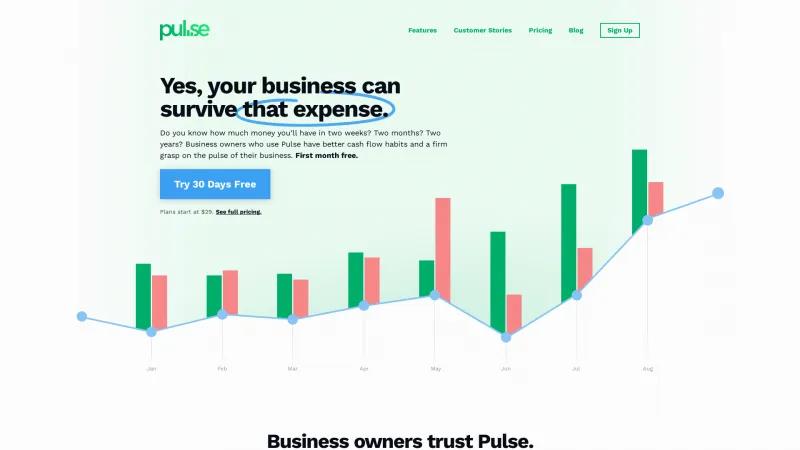 Homepage of Pulse Cash Flow Management