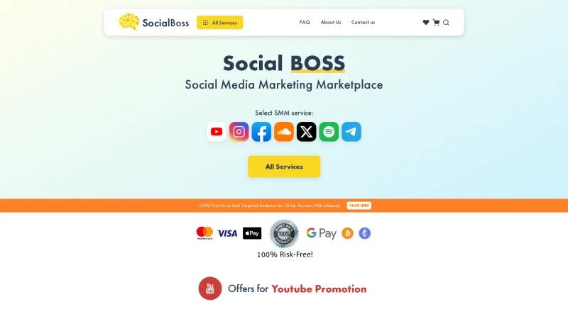 Homepage of SocialBoss