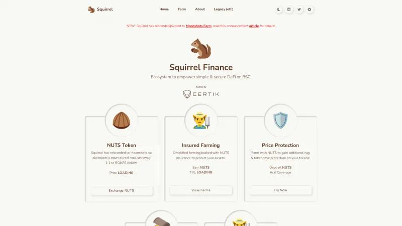 Homepage of Squirrel Finance