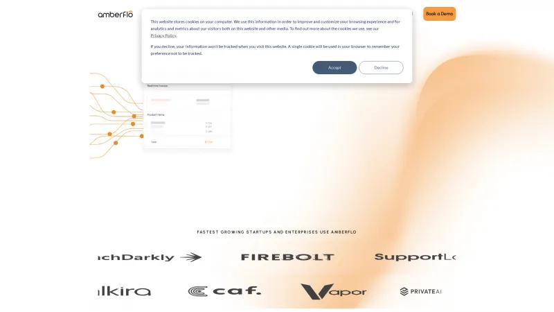 Homepage of Amberflo