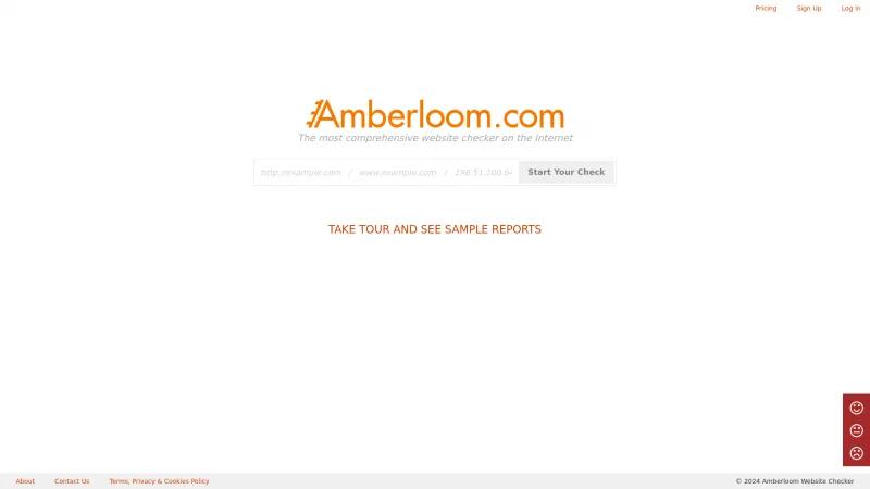 Homepage of Amberloom Website Checker