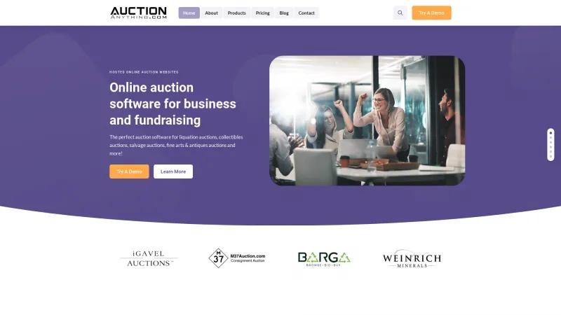 Homepage of Business Auctions