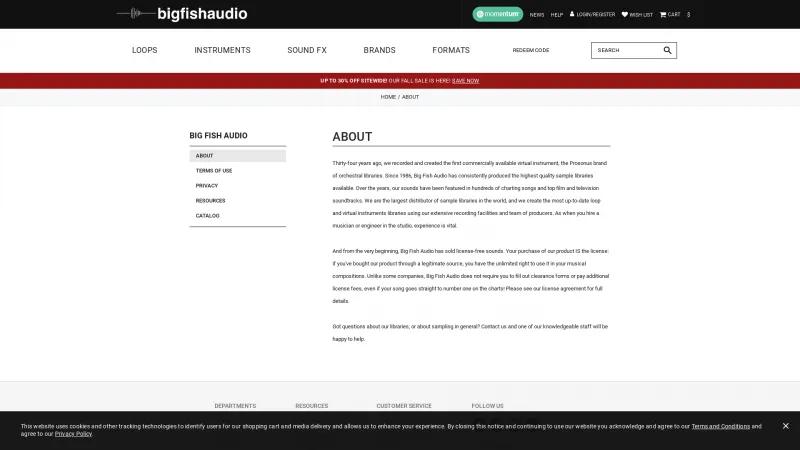 Homepage of Big Fish Audio