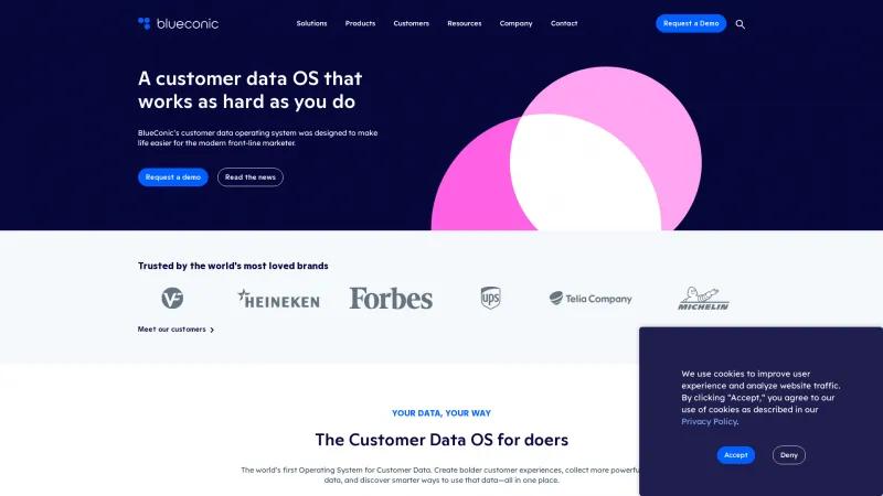 Homepage of BlueConic