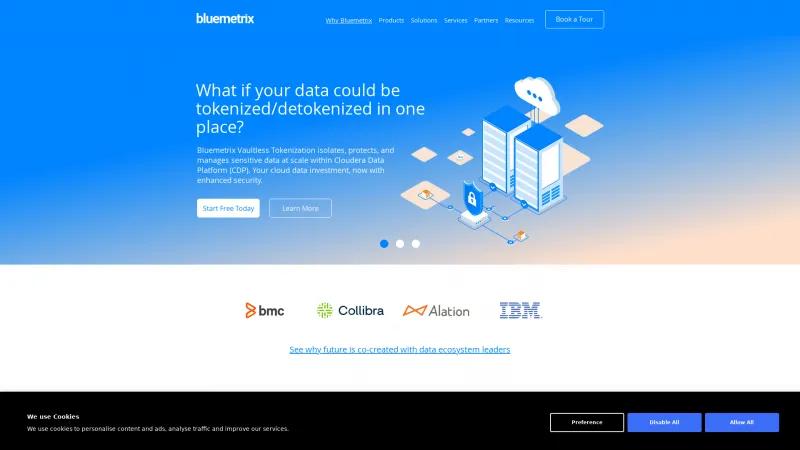 Homepage of Bluemetrix