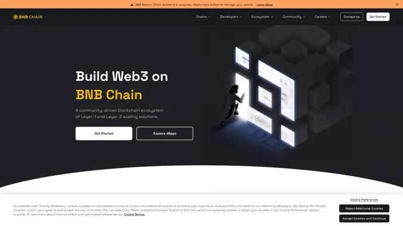 Homepage of BNB Chain