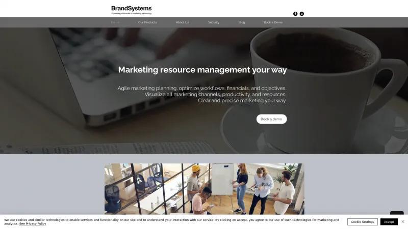 Homepage of BrandSystems