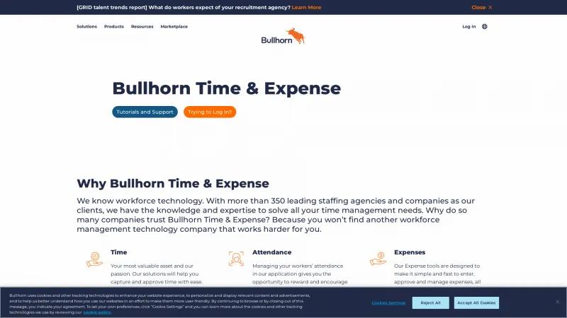 Homepage of Bullhorn Time & Expense