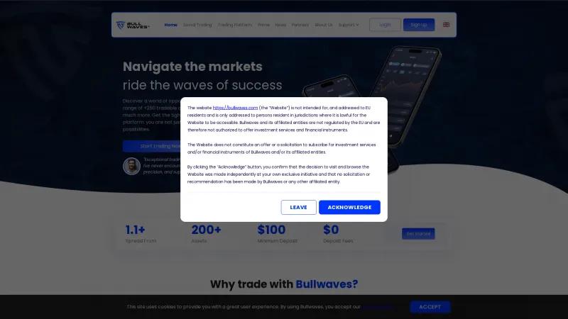 Homepage of BullWaves