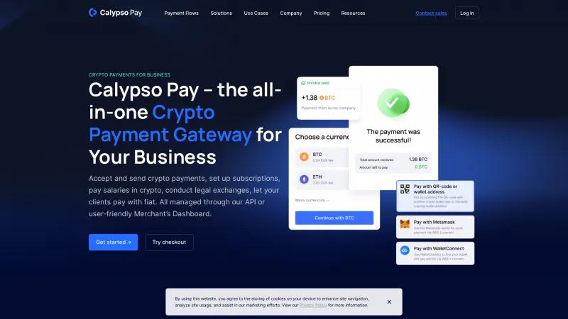 Homepage of Calypso Pay