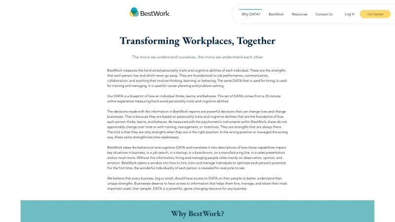 Homepage of BestWork DATA