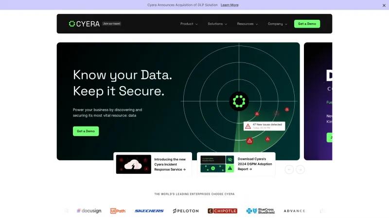 Homepage of Cyera