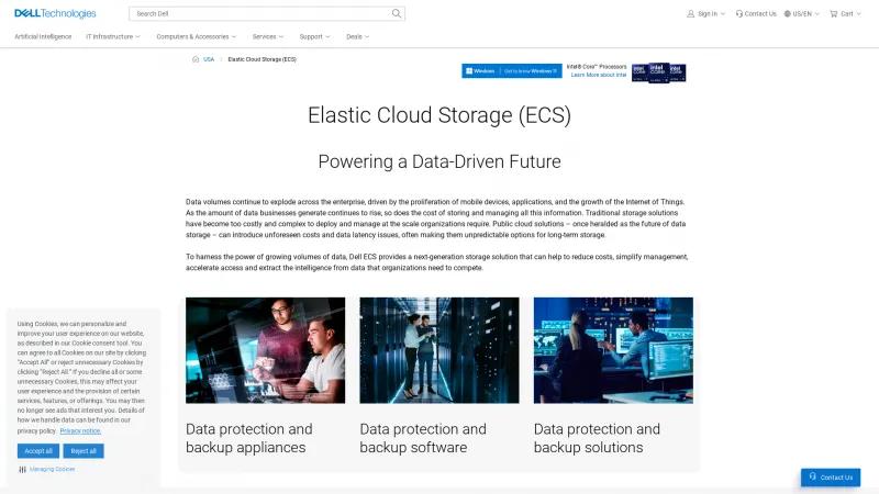 Homepage of EMC Elastic Cloud Storage