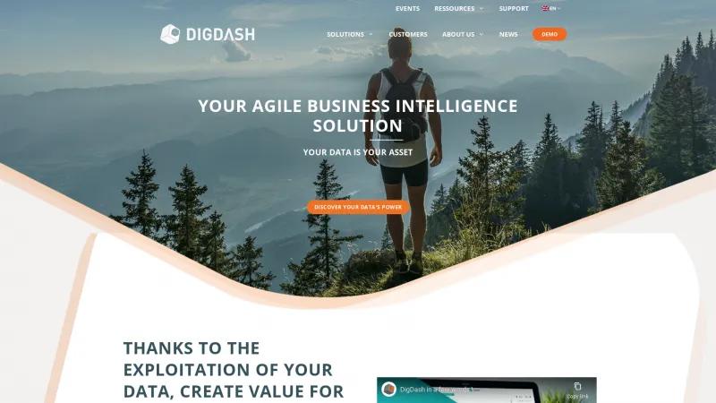 Homepage of DigDash