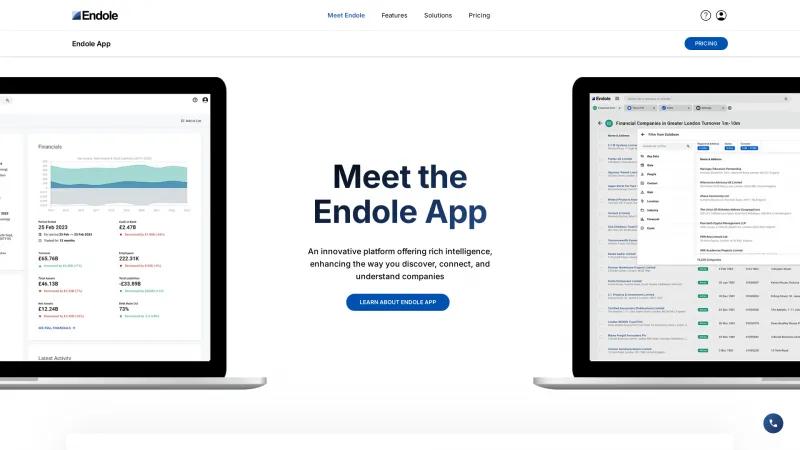 Homepage of Endole Insight