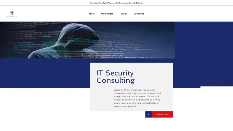 Homepage of Entsecure