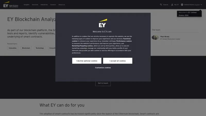 Homepage of EY Blockchain Analyzer