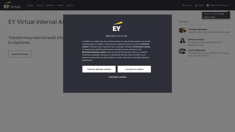 Homepage of EY Virtual Internal Auditor